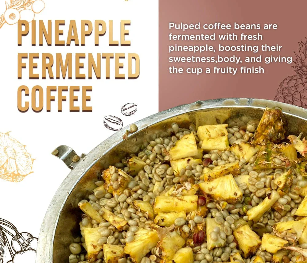Coffeeza Pineapple Fermented Coffee – Single-Estate, 100% Arabica Coffee Capsules - Image 6