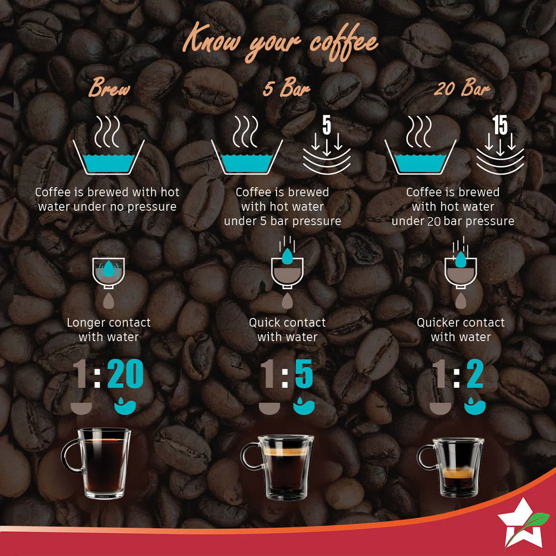 Wonderchef Renewed Regalia Espresso Coffee Maker 15 Bar | Ideal for Espresso, Cappuccino, Latte, Macchiato or Ristretto at Home | Steamer Spout for Cappuccino & Latte | Works with Coffee Powder | Steel - Image 6